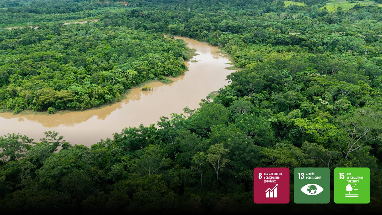 Proyecto Tahuamanu Amazon REDD+