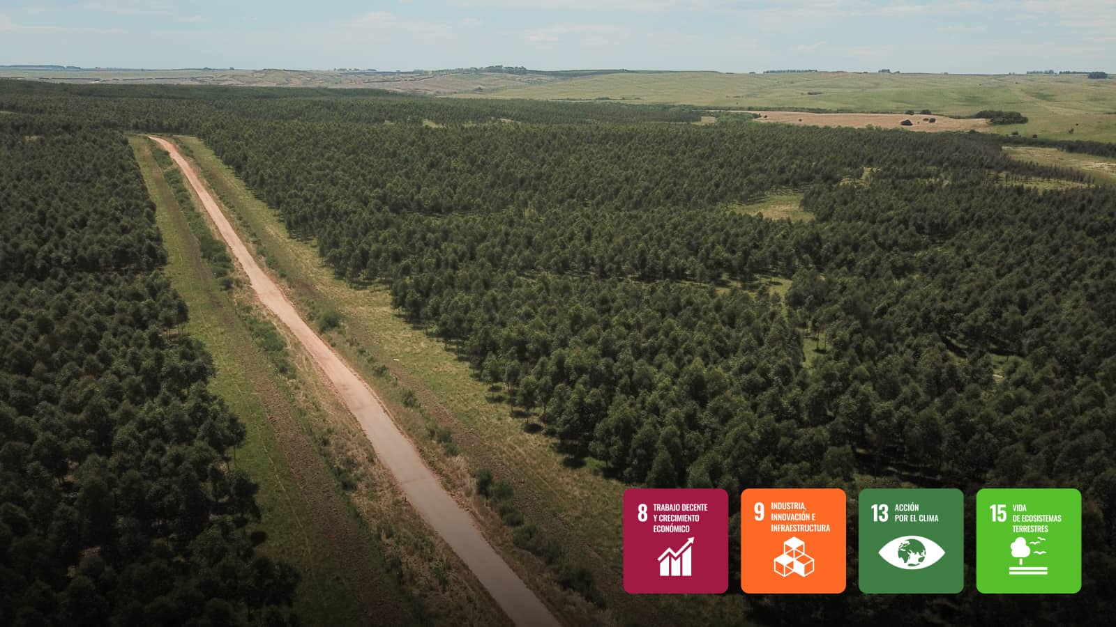 Proyecto de forestación en pastizales degradados